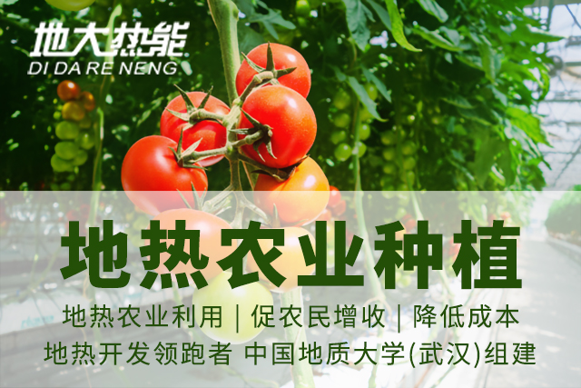 地熱資源:內蒙古發(fā)現(xiàn)的巨型地熱田有哪些利用方式？地大熱能